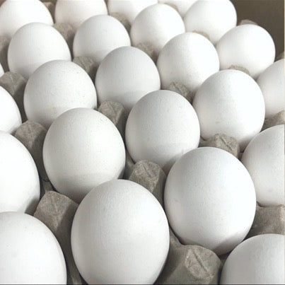 Gray Ridge Extra-Large Egg BoxSet(30unit/box)